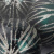 0800496_2 0800496_2