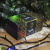 081495_3 081495_3