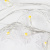 0800106_2 0800106_2
